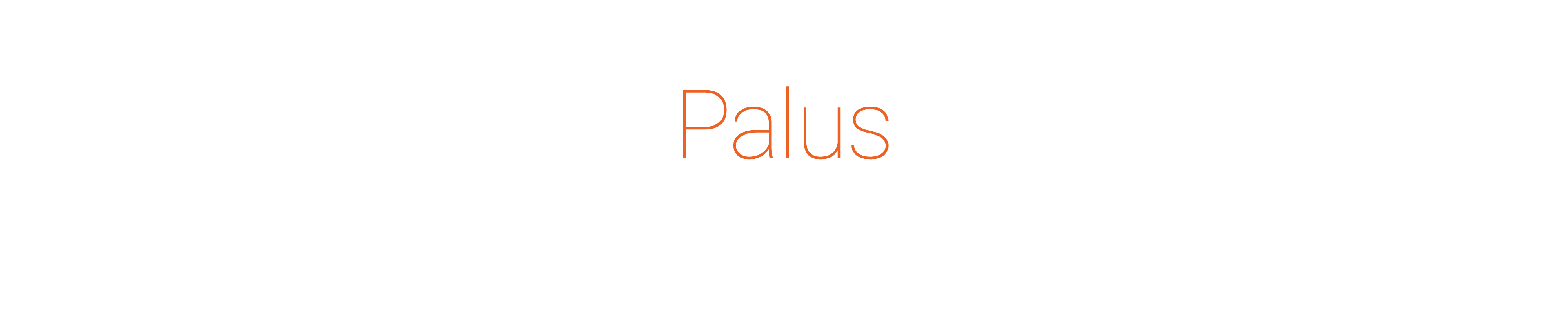 Palus The passage of time 