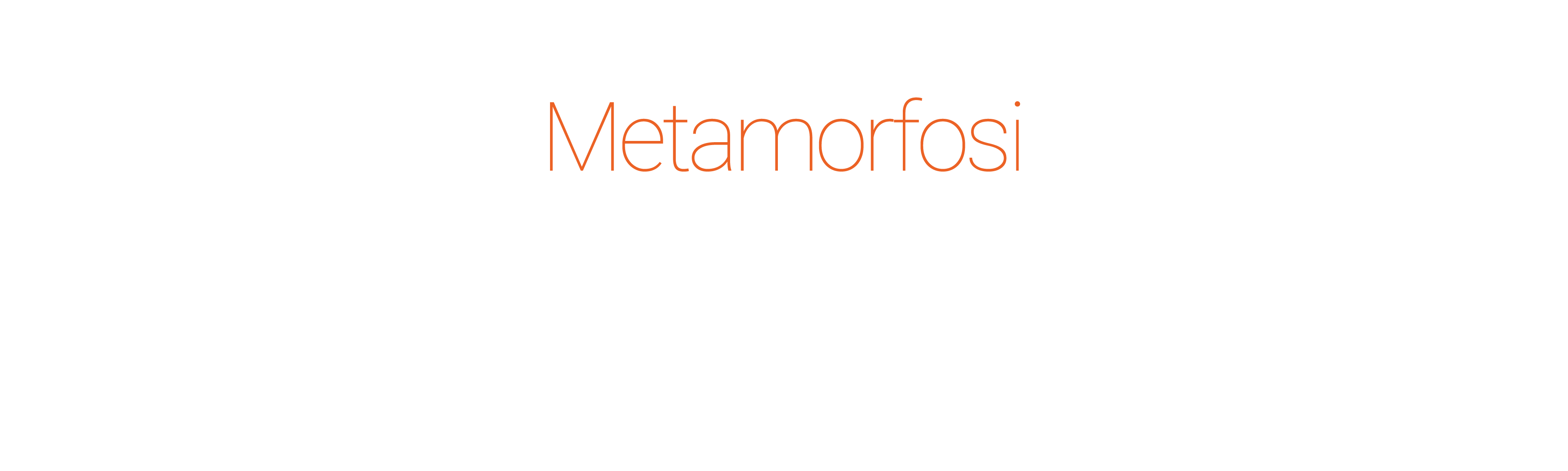 Metamorfosi Environment and animal life, symbiosis in eternal evolution 